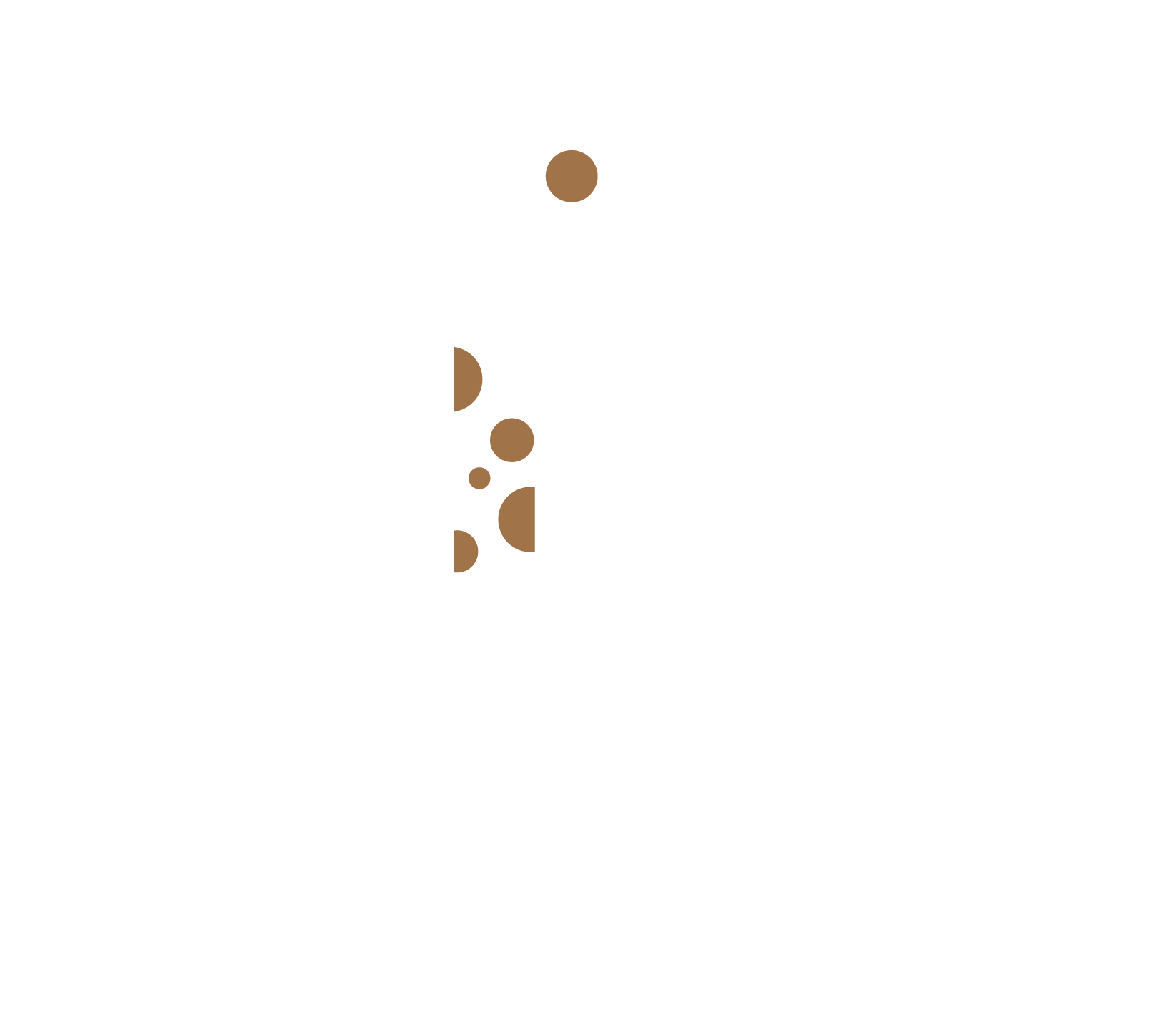 Intipal